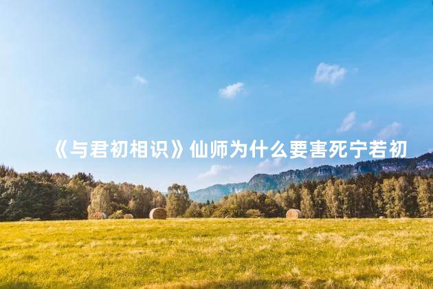 《与君初相识》仙师为什么要害死宁若初 若宁为什么背叛天使